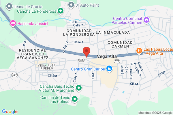 Borinquen Title Loans