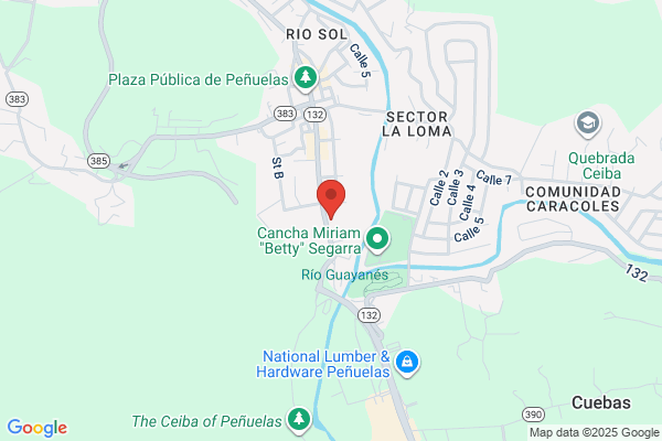 CARIBE CANDLE CORP