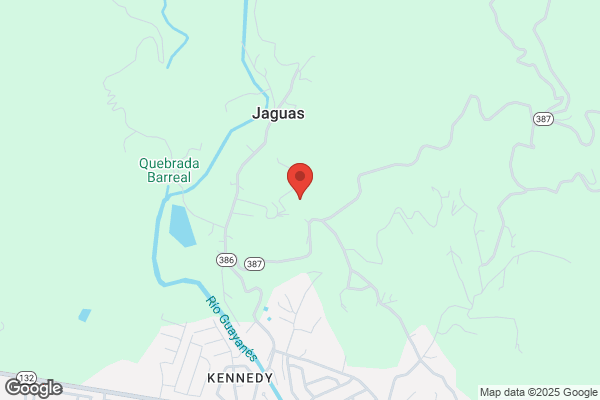 PENUELAS DRY CLEANER
