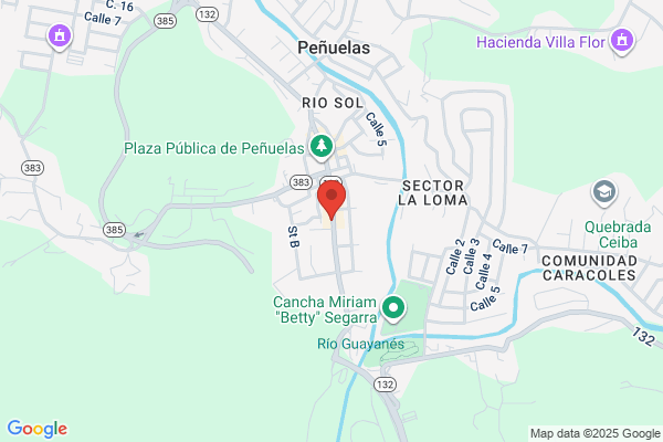 PUERTO RICO AUTO PARTS