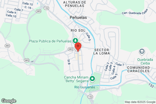 QUINONES POSTAL & MULTI SVC