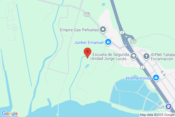UNION CARBIDE CARIBE INC