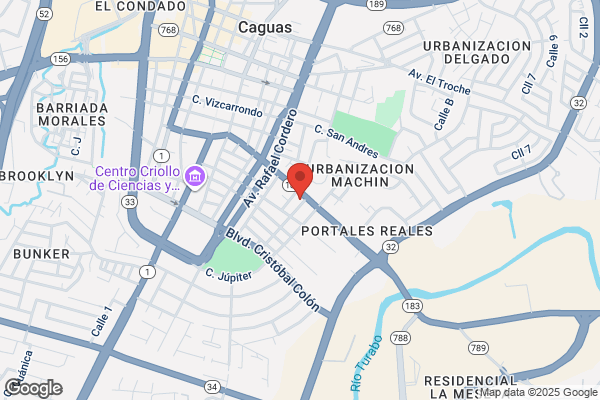 CAGUAS PARTS CTR INC
