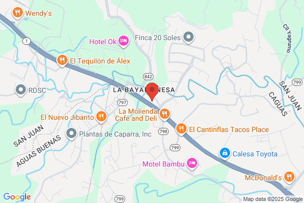 EL CANO ALIGNMENT SVC