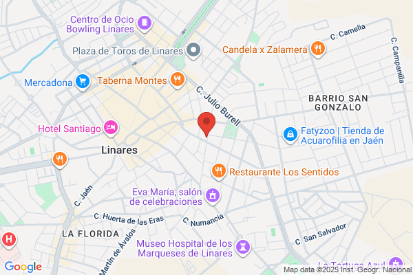 CAFETERIA & RESTAURANT LINARES