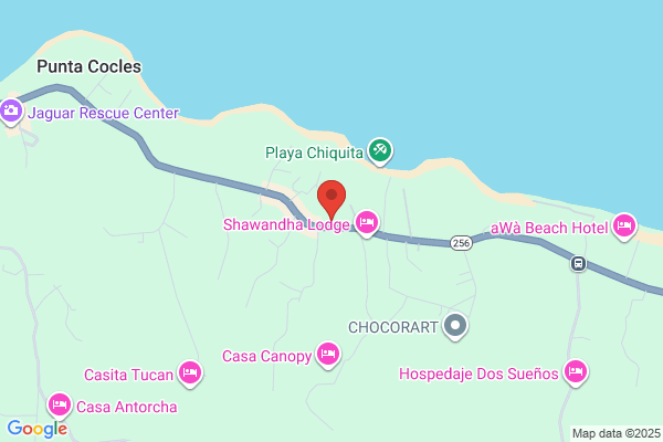 CAFETERIA CHIQUI