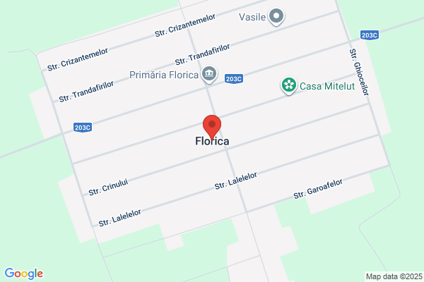 FLORELIC