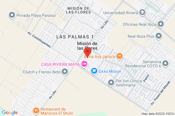 LA CASA DE LAS FLORES
