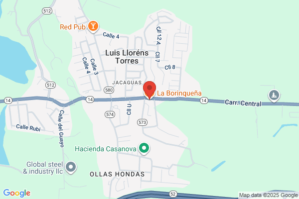 LA NUEVA BORINQUENA