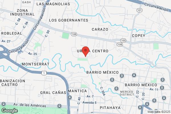 CENTRO DE PINTURAS DEL SUR INC