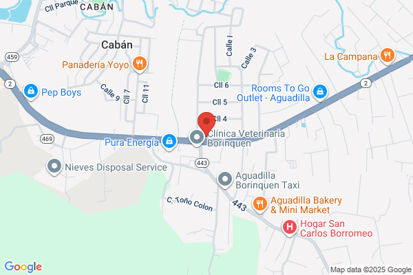 MULTI GOMAS