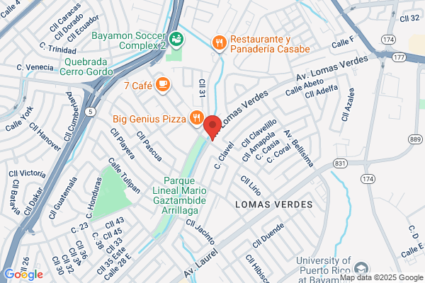 Borinquen Title Loans