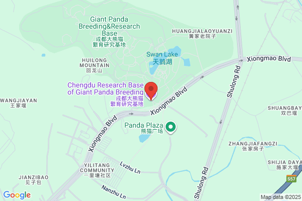 EL PANDA CHINA