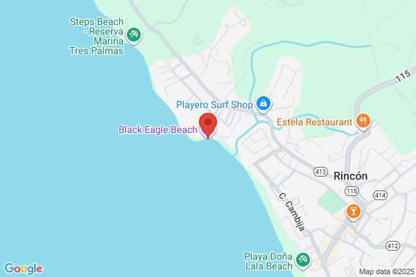 Black Eagle Restaurant Inc
