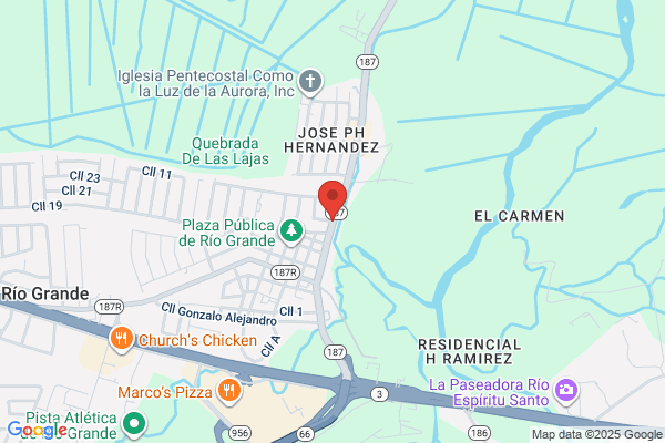 COLMADO CARNICERIA BORINQUEN