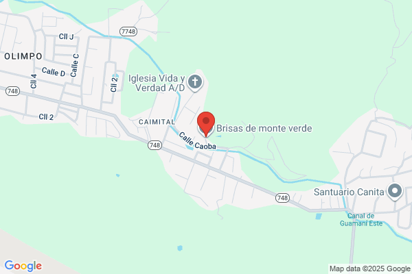 BRISAS DEL VERDE INC