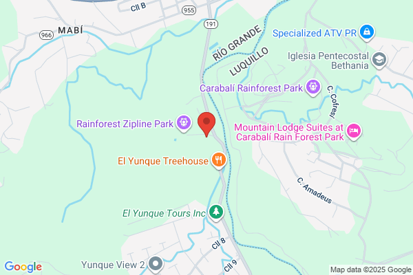 COLEGIO CUIDAD DEL YUNQUE