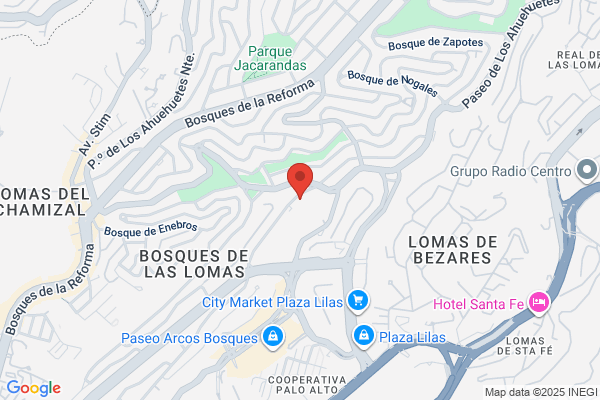 COLEGIO DE CONTADORES PUBLICOS