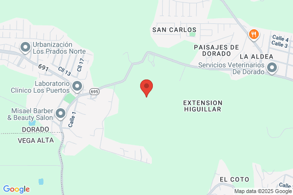 GARCIA DE QUEVEDO & ASSOC INC