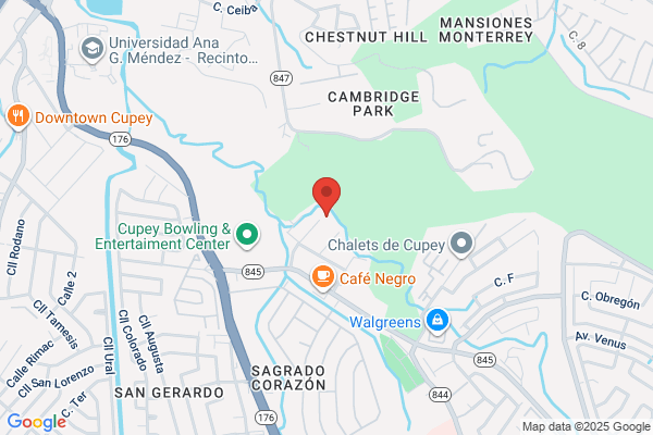 MATEO AUTO BODY REPAIR