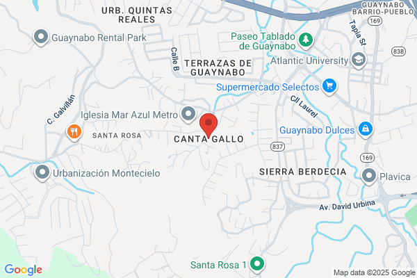 CANTA GALLO AUTO PARTS