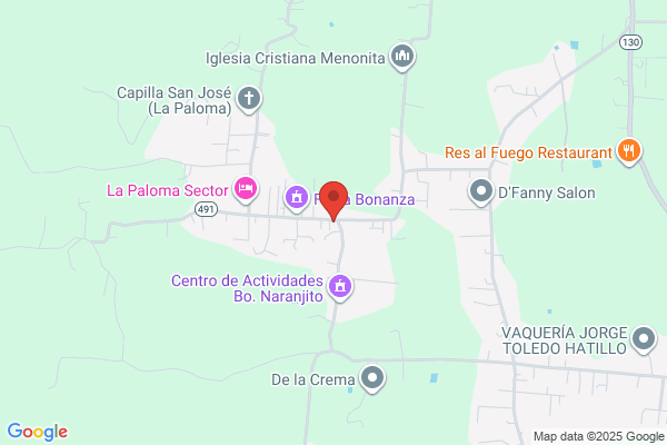 CENTRO DE SERVICIO AUTOMOTRIZ