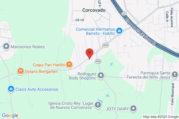 HATILLO CARBURATOR REBUILDER