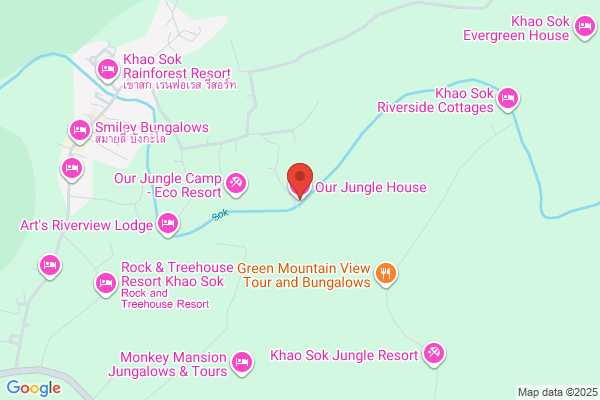JUNGLE HOUSE