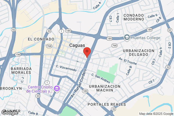 CAGUAS CELLULAR SYSTEM