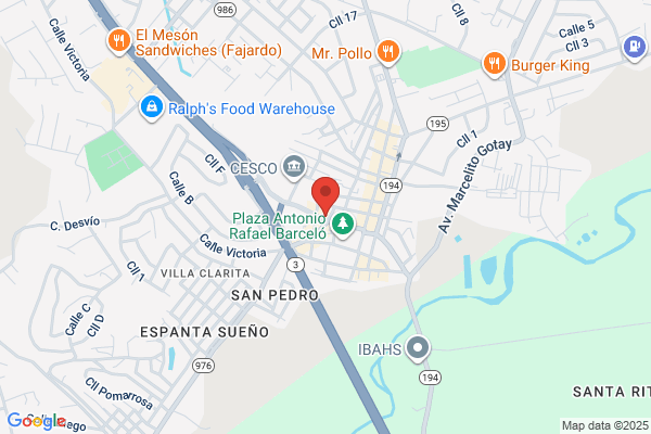 CHEQUERA Y CASA DE EMPENO