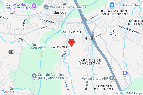 COLEGIO LA LUZ INC