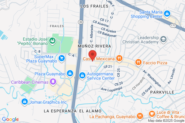 CARMEN M RIVERA NEGRON DDS