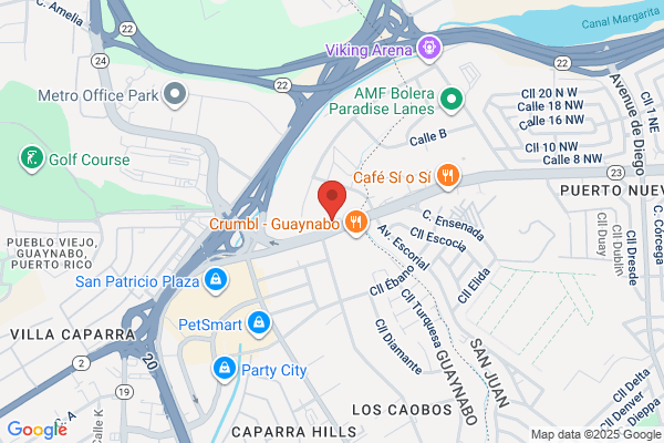 GEOCONSULT INC