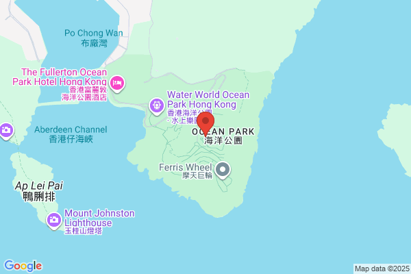 RAIN FOREST SOUVENIR SHOP