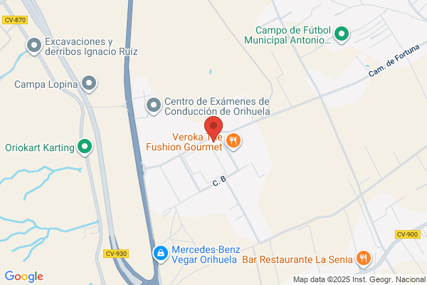 CARNICERIA COLMADO VEGA