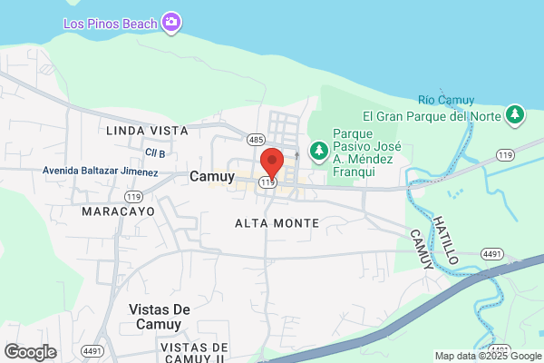 CAMUY HEALTH FOOD