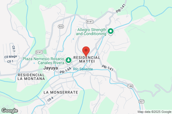 JAYUYA BABY FOOD CTR