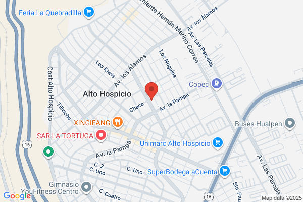 HOSPICIO ATENCION MEDICA INC