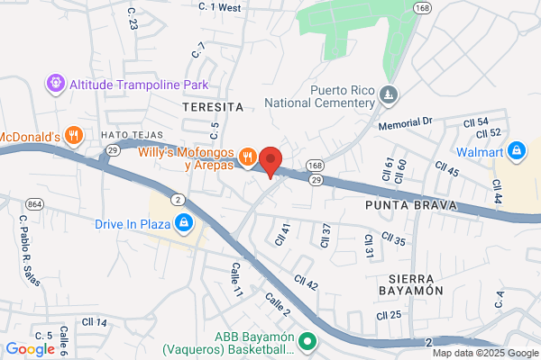 BAYAMON LEASING & SALES CORP
