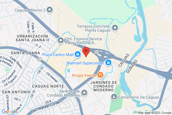 CAGUAS SOFT & CREAMY INC