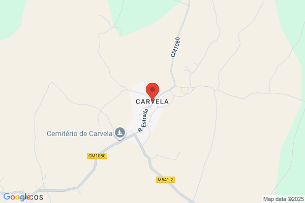 CARVEL ICE CREAM
