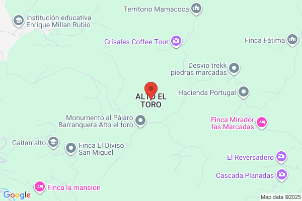 EL ALTO DEL TORO