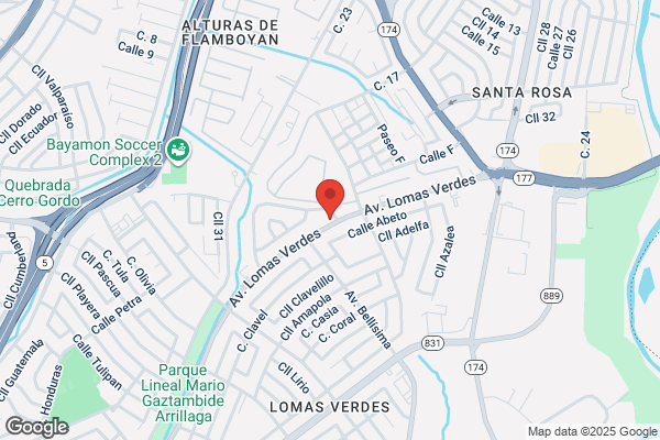 LA NUEVA BORINQUENA