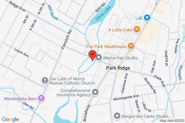LESTER RICCI DISTRIBUTORS