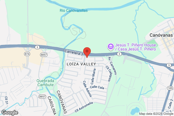 OPTICENTER LOIZA VALLEY