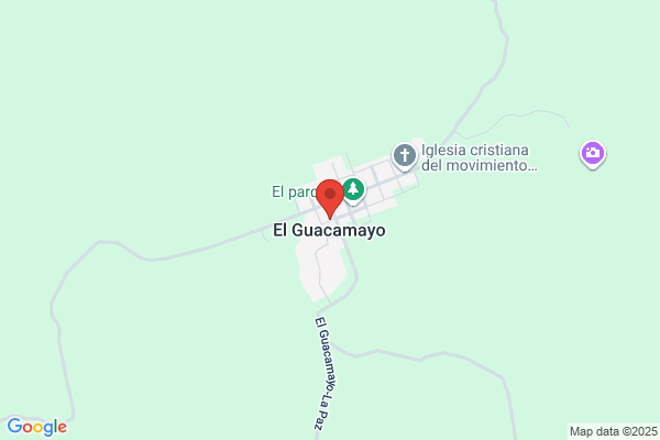 EL GUACAMAYO MASCOTAS