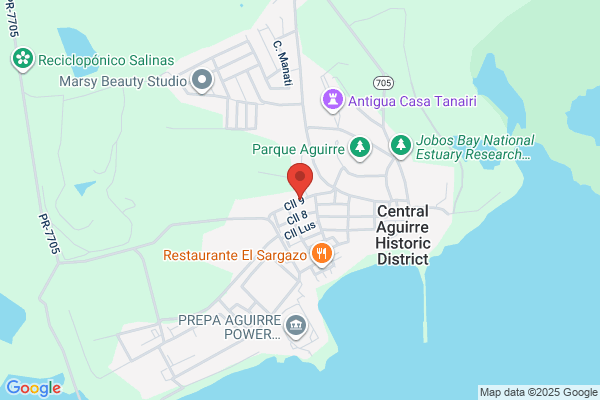 CABALLERO DEL CARIBE INC
