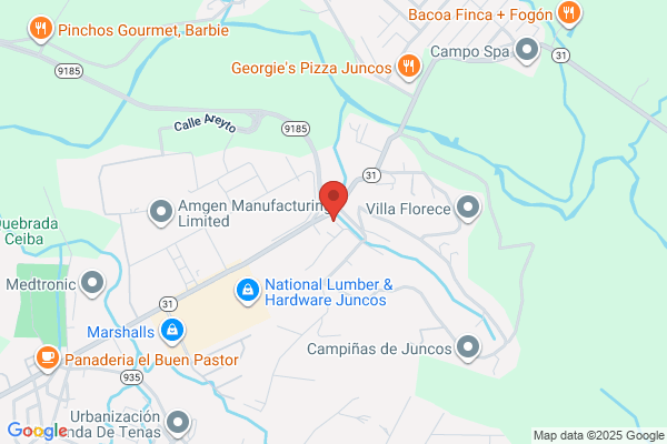 AMADEO PLUMBING SVC