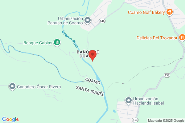 COAMO PLUMBING