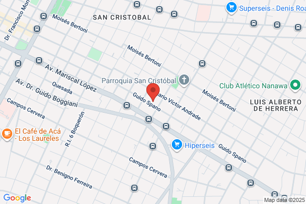 INSTITUTO PARA EL DESARROLLO